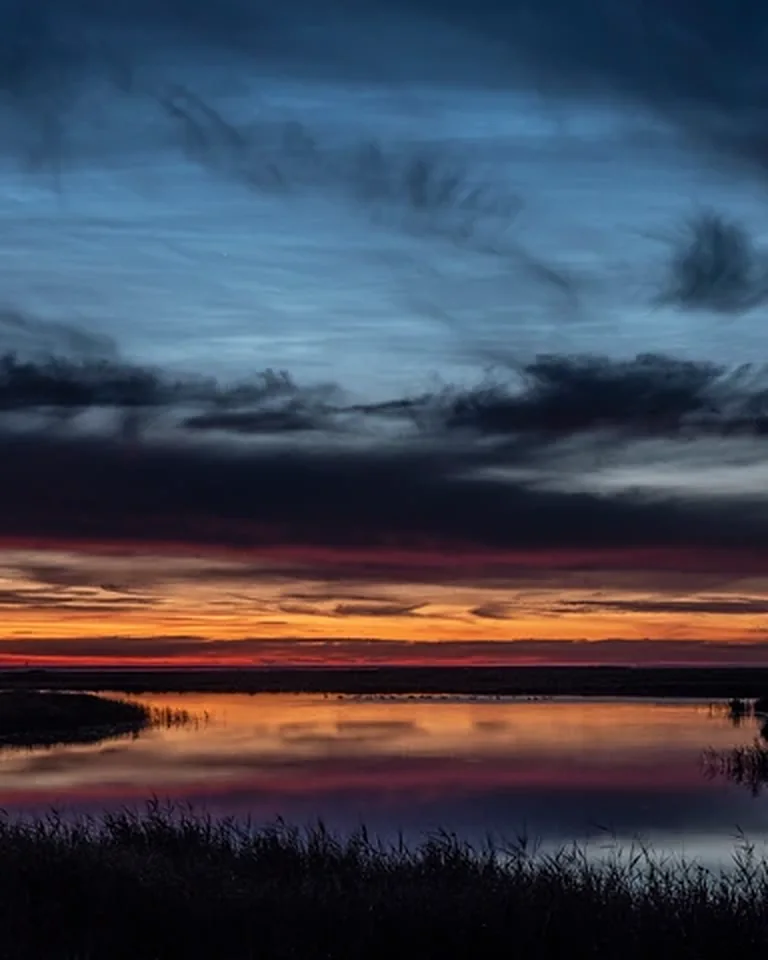Wetland at dusk, the last light under a dark blue sky