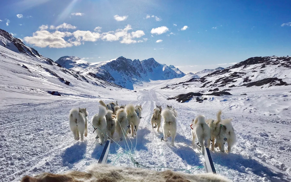 A team of sled dogs running up a snow valley towards the mountains, seen from the sled