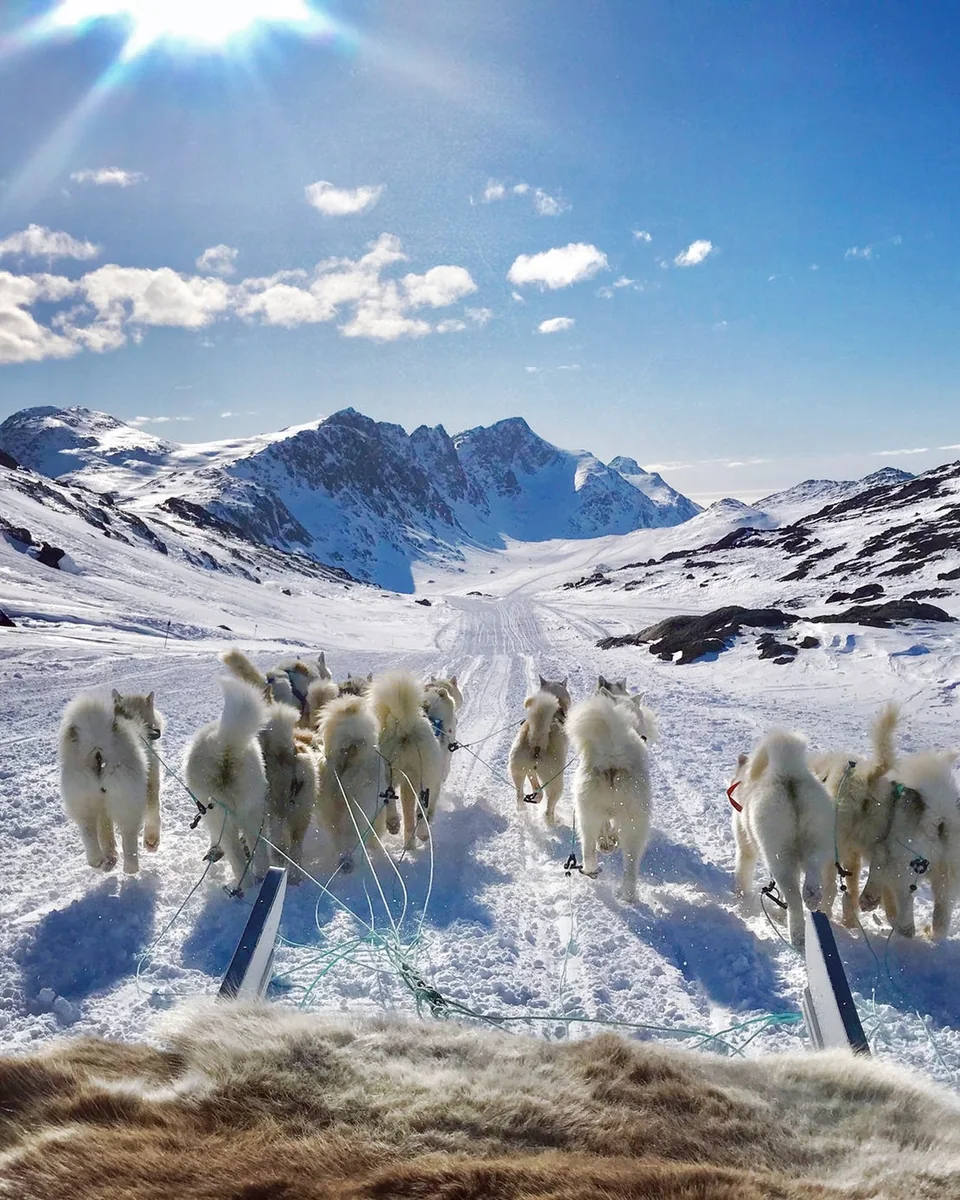 A team of sled dogs running up a snow valley towards the mountains, seen from the sled