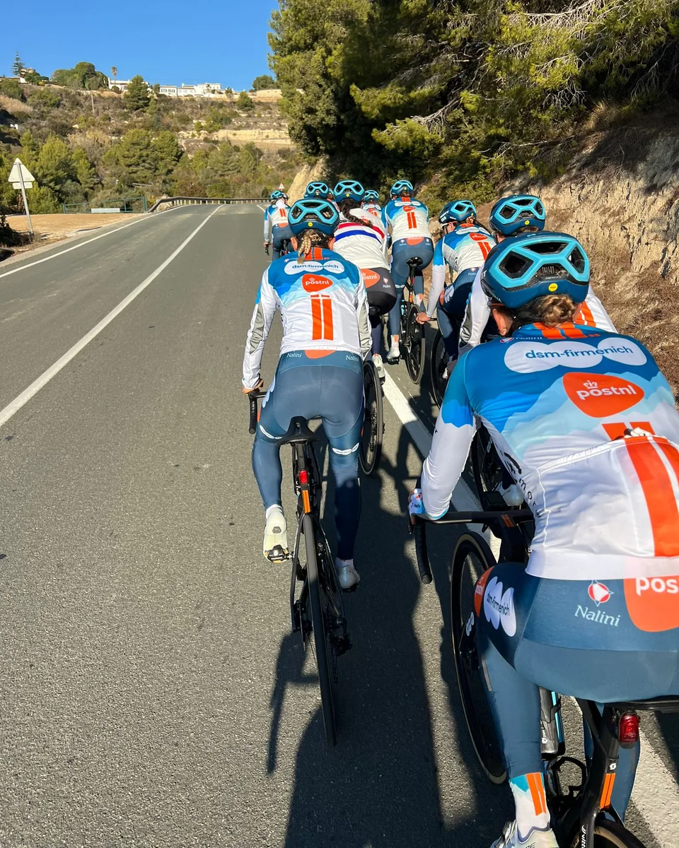 A professional team riding in a line up a coast road in low winter sun, seen from behind