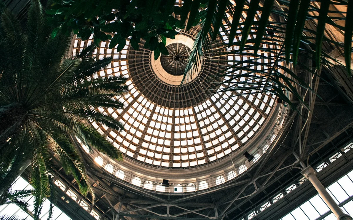 Ny Carlsberg Glyptotek: The glass dome of the Winter Garden, framed by palms